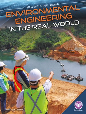 cover image of Environmental Engineering in the Real World